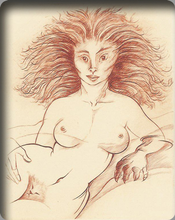 Féline (Lion) Féline (Lion)