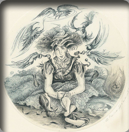 Pléthore de plumes Pléthore de plumes