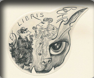 Rat des villes Rat des villes